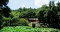 長(zhǎng)沙出發(fā)到花明樓、韶山、張家界國(guó)家森林公園、天門(mén)仙山國(guó)家森林公園四日游